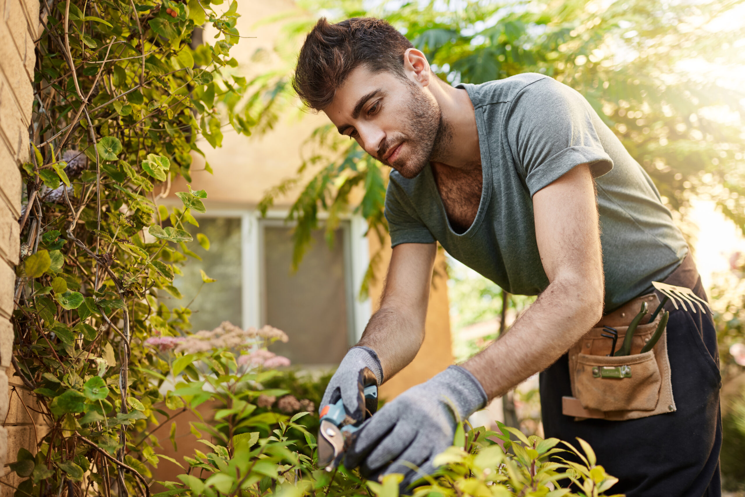 Outdoors portrait of young attractive bearded hispanic man in blue t-shirt and gloves working in garden with tools, cutting leaves, watering plants. Countryside life.